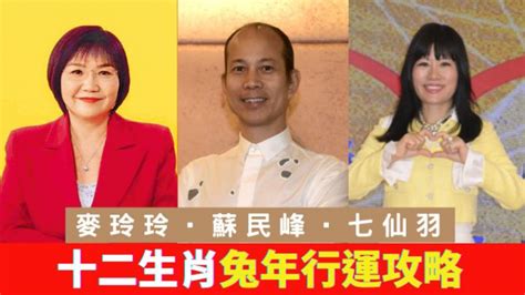 睇全相|蘇民峰/麥玲玲/七仙羽算命睇相收費一覽！農曆新年化太歲$580起。